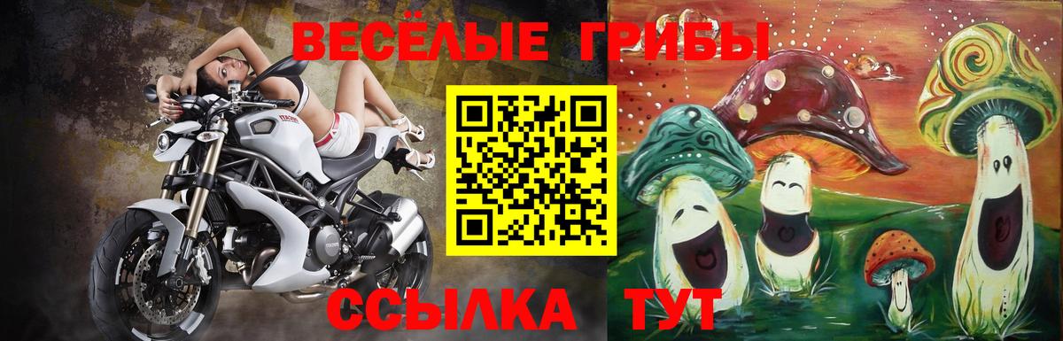 Псилоцибиновые грибы Cubensis Кинешма