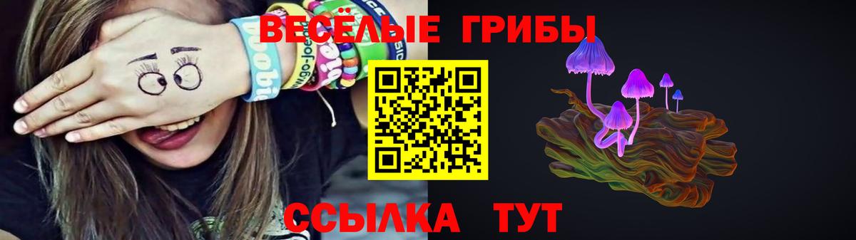 Галлюциногенные грибы Psilocybe  Псилоцибиновые грибы Cubensis  где купить наркоту  Кинешма  Вход с VPN 